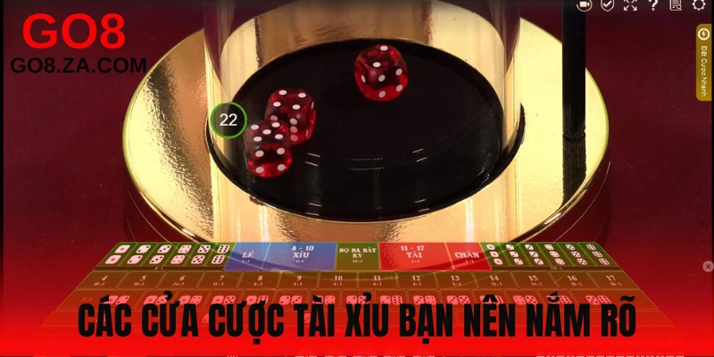 Lựa chọn cửa cược phù hợp vào tiền