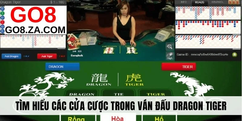 Tìm hiểu các cửa cược trong ván đấu  Dragon Tiger